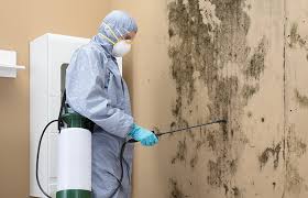 Best Forensic Mold Investigation  in Saginaw, MI